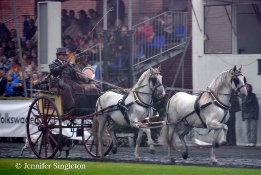 © 2012 Jennifer Singleton – Please do not copy or save without permission