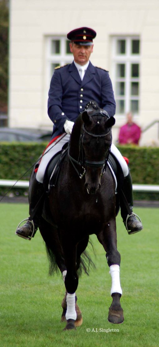 © 2012 A.J. Singleton – Please do not copy or save without permission