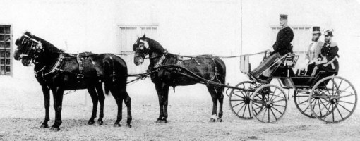 image courtesy of Rudolf Stief