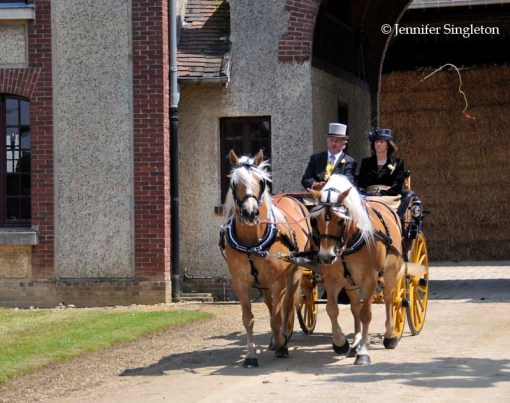 © Jennifer Singleton – do not copy or save