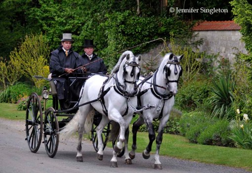 © Jennifer Singleton – do not copy or save