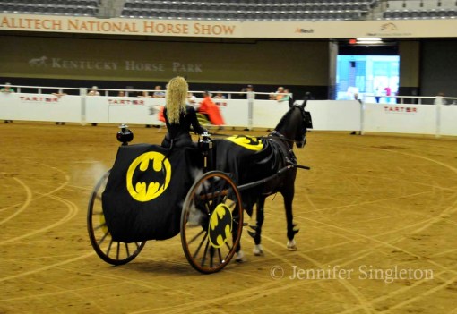 © Jennifer Singleton – do not copy or save