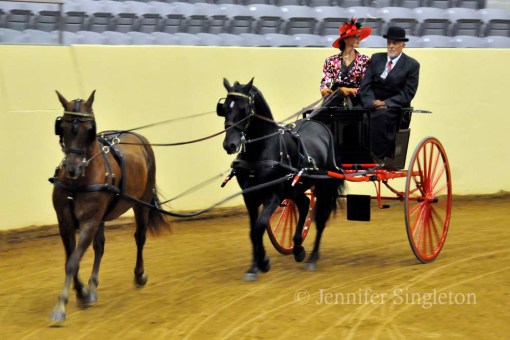 © Jennifer Singleton – do not copy or save