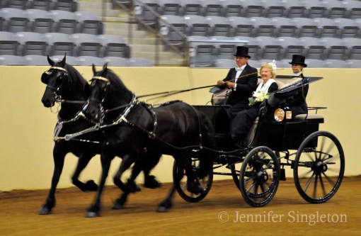 © Jennifer Singleton – do not copy or save