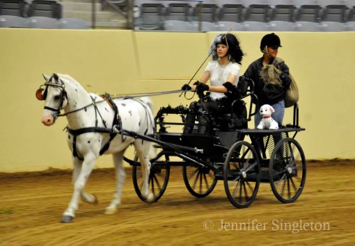 © Jennifer Singleton – do not copy or save