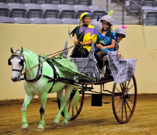 © Jennifer Singleton – do not copy or save