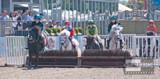 blog-ShetlandSteeplechase2-201405