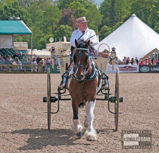 blog-TradeVehicles12-201405