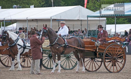 blog-TradeVehicles17-201405