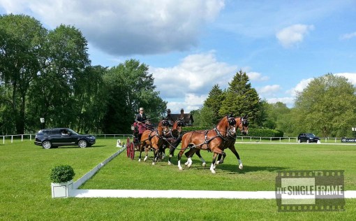 ChesterWeber-dressage-201405