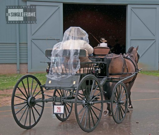 blog-BatesRobin2-201406