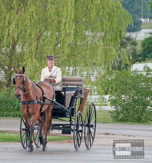 blog-BushmanKate2-201406