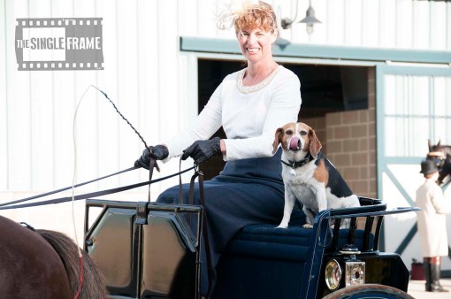 blog-CarriageDogs6-201406