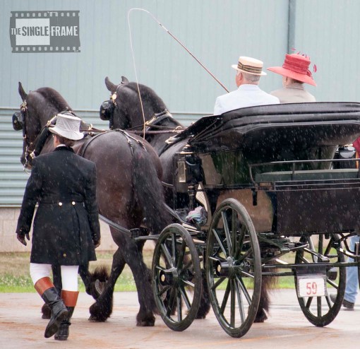 blog-MacfarlaneMarilyn2-201406