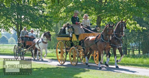 blog-BDSdrive21-201405