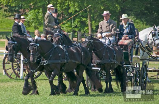 blog-BDSdrive5-201405