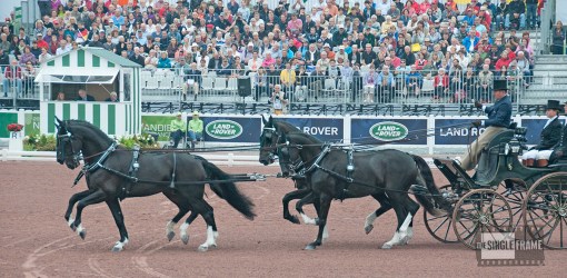 blog-Exell-Boyd-dressage14