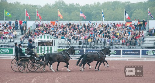 blog-Exell-Boyd-dressage8