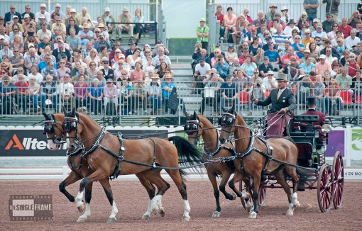 blog-Weber-dressage12