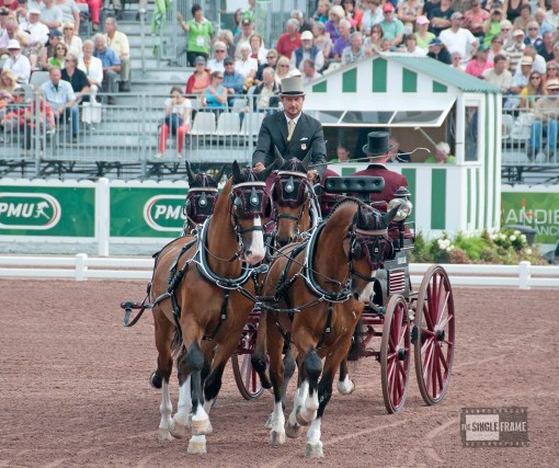 blog-Weber-dressage19