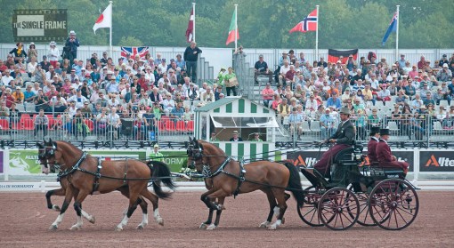 blog-Weber-dressage2