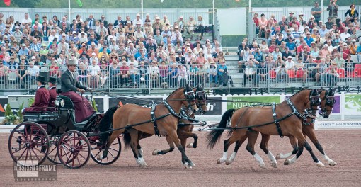 blog-Weber-dressage8