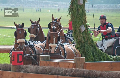 blog-Weber-marathon3