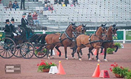 blog-WrigleyMiller-cones1