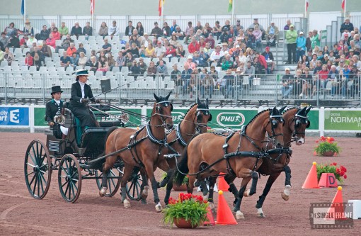 blog-WrigleyMiller-cones9