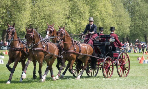 blog-cones3-Weber-0586