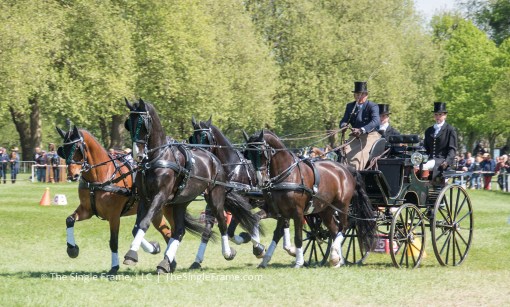 blog-cones9-Exell-0647