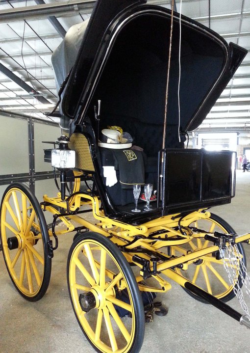 blog - Showcase - spider phaeton